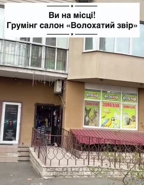 Зоосалон в Киеве на Троєщине